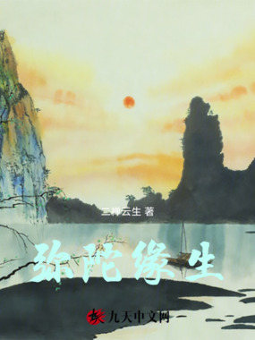 弥陀缘生在线阅读