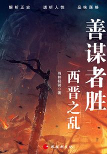 善谋者胜:西晋之乱