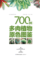 700种多肉植物原色图鉴