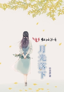 月光落下