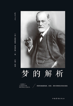 梦的解析 封面