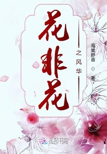 花非花之风华