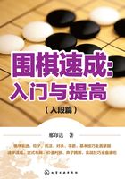 围棋速成：入门与提高（入段篇）