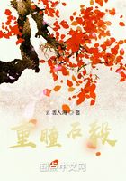 重瞳石毅在线阅读