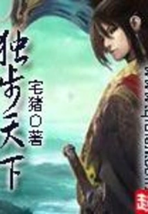 独步天下 封面