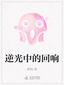逆光中的回響