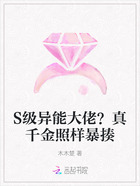 S级异能大佬?真千金照样暴揍在线阅读