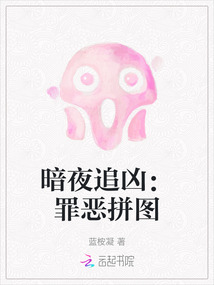 暗夜追兇：罪惡拼圖