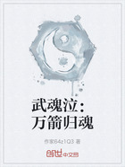 武魂泣：萬(wàn)箭歸魂在線閱讀