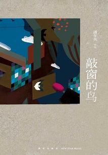 敲窗的鳥