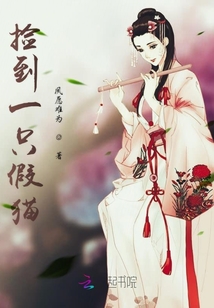 撿到一只假貓