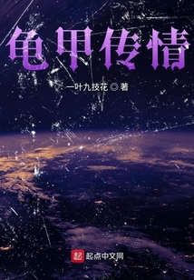 龜甲傳情
