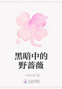 黑暗中的野薔薇