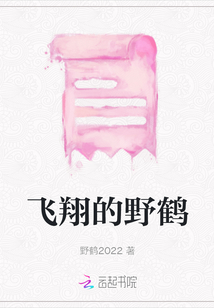 飛翔的野鶴