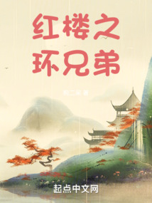 紅樓之環(huán)兄弟