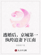 逃婚后,京城第一纨绔追妻下江南在线阅读
