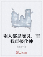 别人都是魂灵,而我直接化神在线阅读