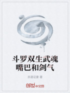 斗罗双生武魂嘴巴和剑气在线阅读