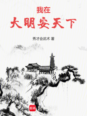 我在大明安天下在线阅读