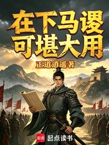 在下马谡，可堪大用在线阅读