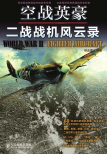 空戰(zhàn)英豪：二戰(zhàn)戰(zhàn)機(jī)風(fēng)云錄
