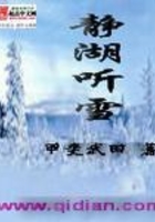 静湖听雪