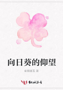 向日葵的仰望