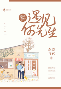 獨家美好:遇見何先生
