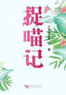 捉喵记