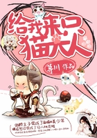 给我来只猫大人在线阅读