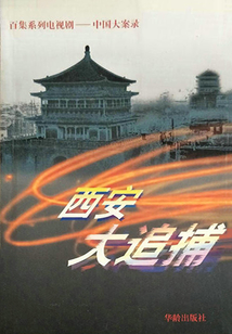 西安大追捕