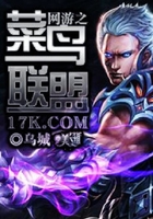 網游之菜鳥聯盟在線閱讀
