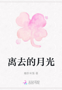 離去的月光