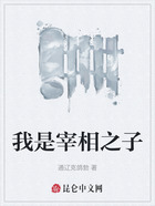 我是宰相之子在线阅读