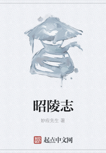 昭陵志