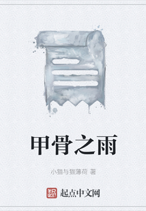 甲骨之雨