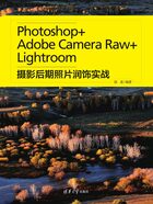 Photoshop+Adobe Camera Raw+Lightroom（摄影后期照片润饰实战）