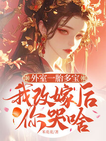 外室一胎多寶,我改嫁后你哭啥
