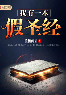 我有一本假圣经 cover