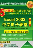 5天通过职称计算机考试（考点视频串讲＋全真模拟）：Excel 2003中文电子表格（第2版） (全国专业技术人员计算机应用能力考试指导丛书)