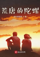 荒唐的陀螺