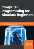 Computer Programming for Absolute Beginners