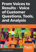 From Voices to Results：Voice of Customer Questions，Tools and Analysis在线阅读