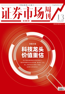 科技龍頭價值重估（證券市場紅周刊2021年13期）