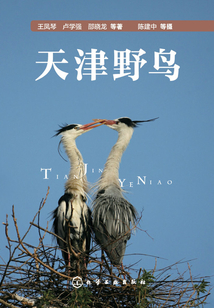 天津野鳥