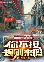 现实沙盒游戏,你不按规则来吗?在线阅读