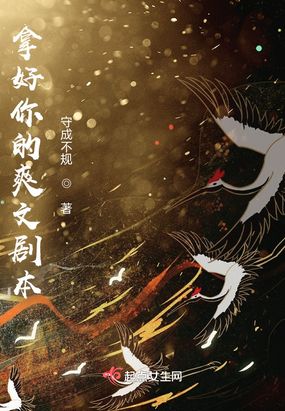 拿好你的爽文剧本在线阅读