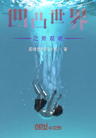 凹凸世界之旁观者在线阅读