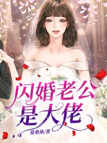 闪婚老公是大佬在线阅读