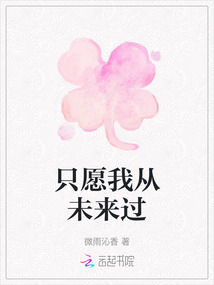 只愿我從未來過